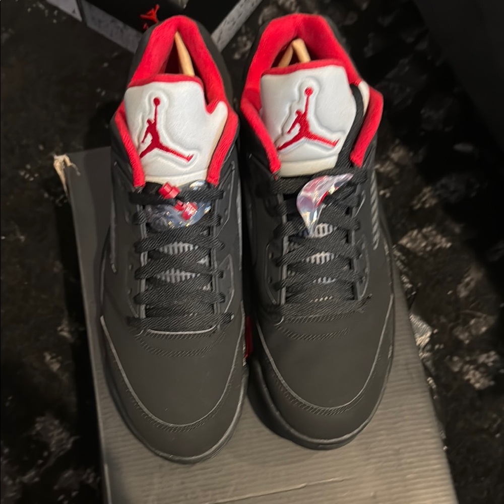 AIR JORDAN 5 LOW ALTERNATE